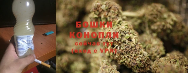 spice Рославль