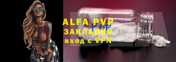 дживик Ростов