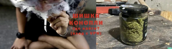 spice Рославль