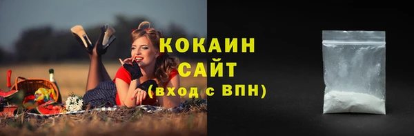 дживик Ростов