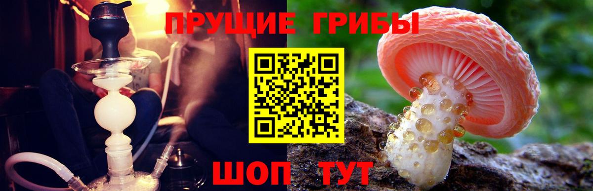 Москва  Галлюциногенные грибы Cubensis  Вход с VPN 